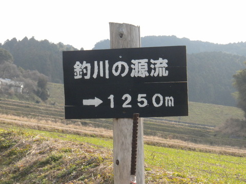 DSCN6031