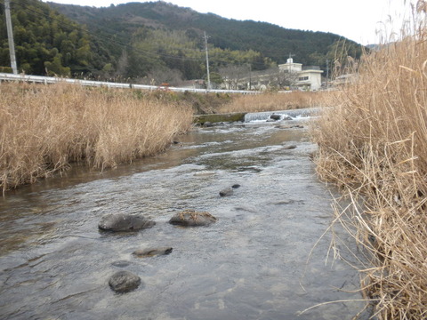 DSCN5974