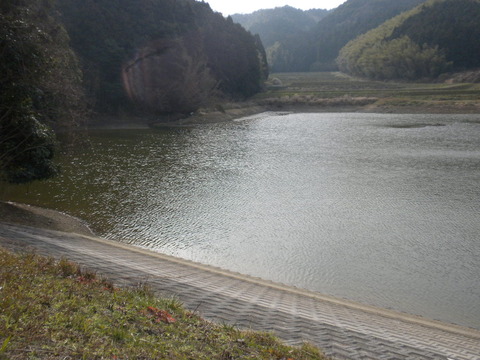 DSCN6027