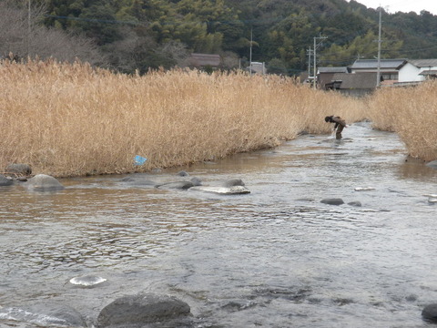 DSCN5972