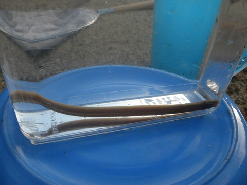 DSCN5886