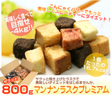 �ޥ�ʥ�饹���ץ�ߥ��� ������ ��������