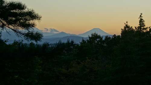 昭和記念公園 こもれびの丘 展望台 富士山