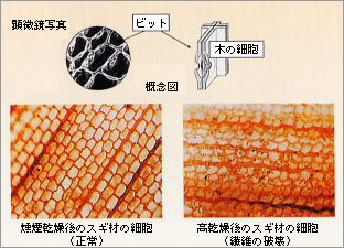 BD015453