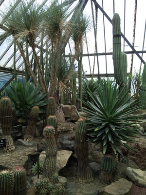DVC00034