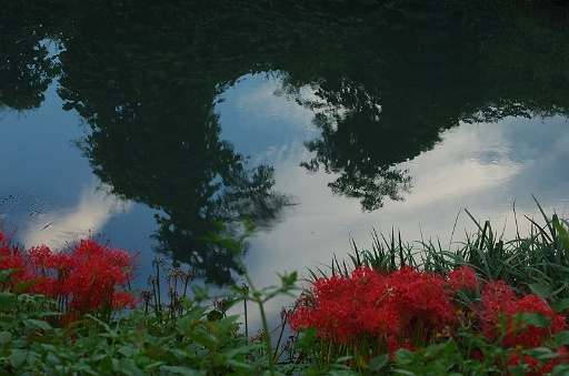 赤の傍らの水風景