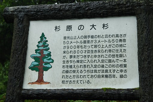 何語?