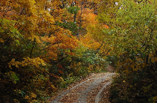 遊歩道