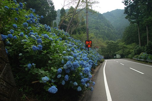 概景