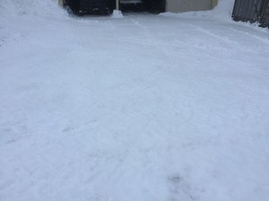 IMG_0217