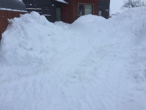 IMG_0214
