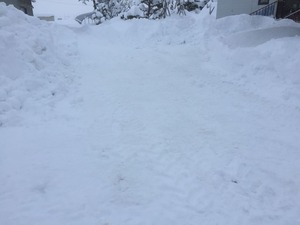 IMG_0215