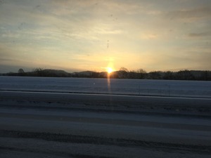 IMG_0202