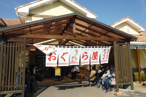 DSCF8222