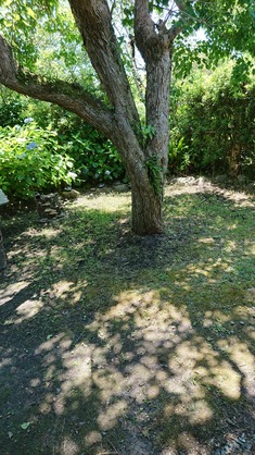 DSC_0421