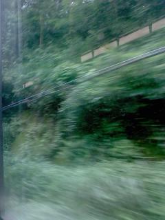 8f1d24c1.jpg