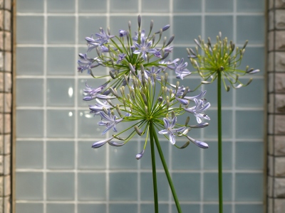 P7087760