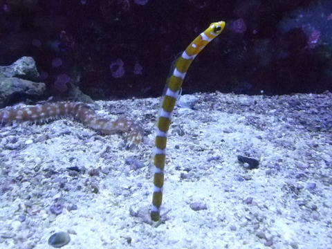 DSCF0757