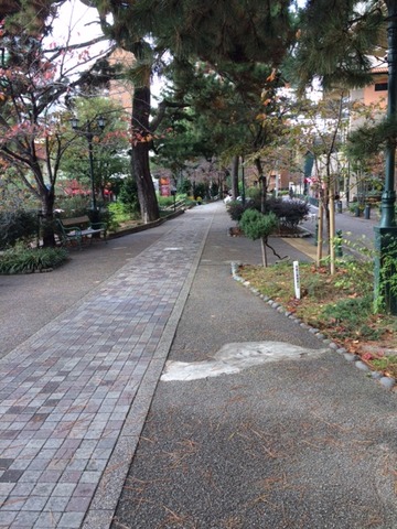花の道