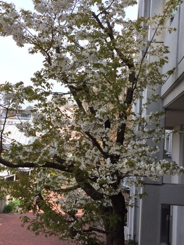 20140407a