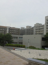 0f811abf.jpg