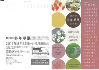 多年草展