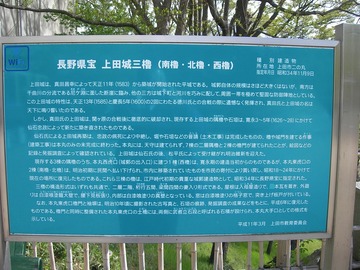 sDSCN9681