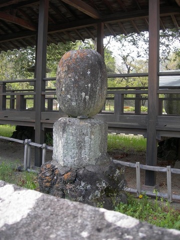 sDSCN9671