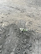 2016-08-23-08-30-30