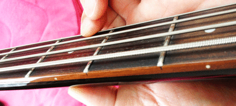 bass_7