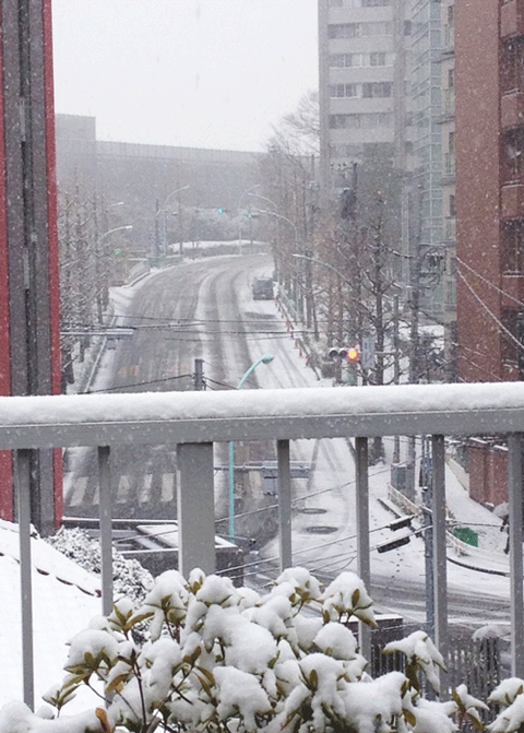 渋谷雪景色