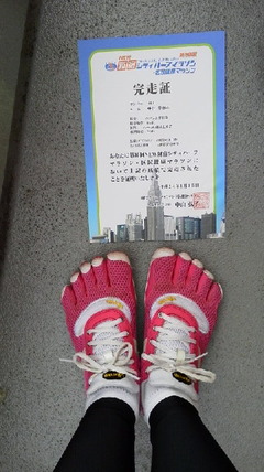 2012011511300000