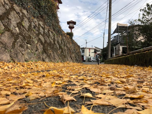20181205_23