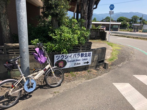 20180511_48