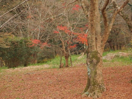 20181205_49