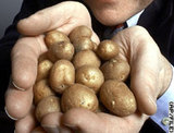 spuds