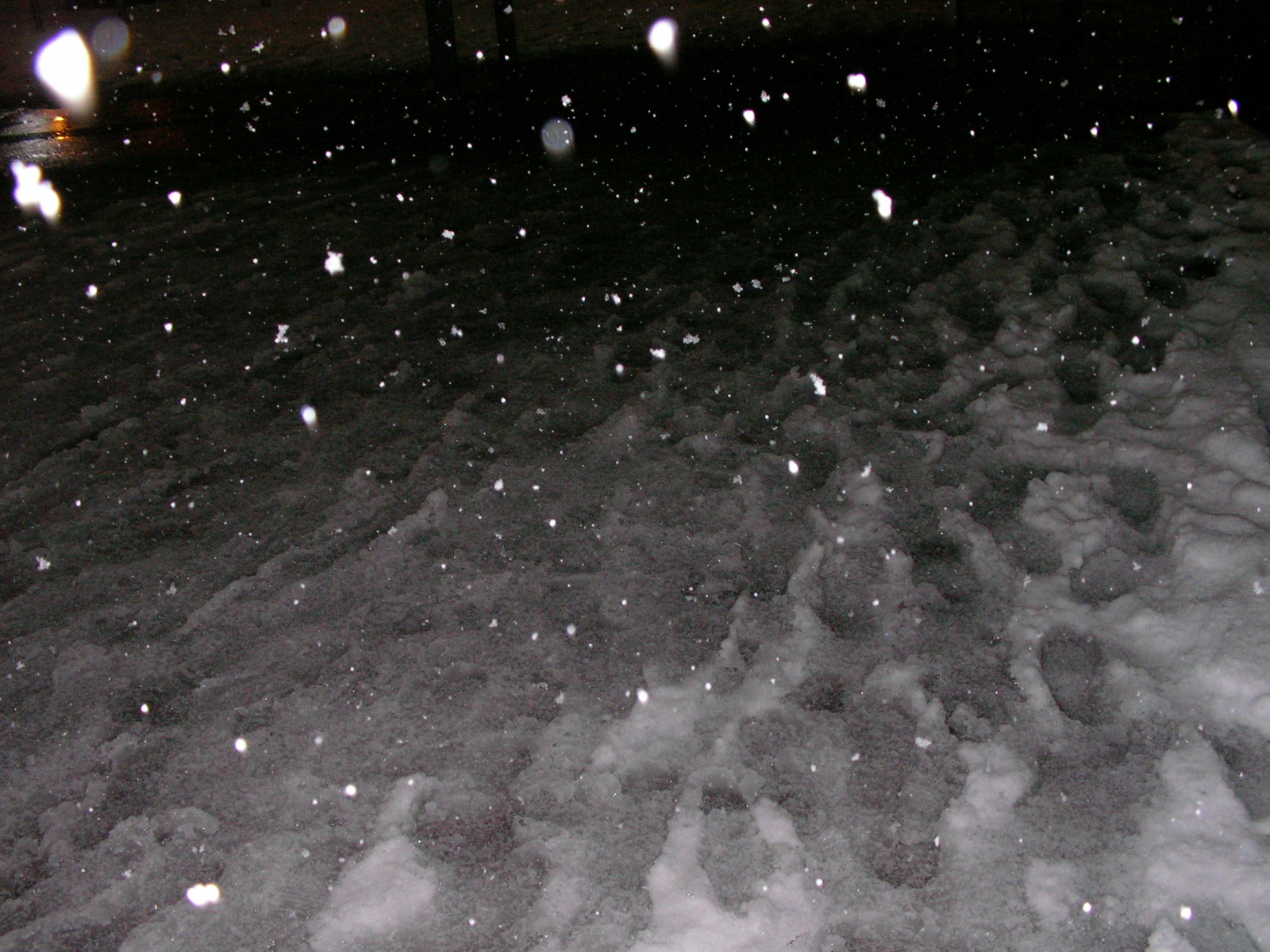 20141222_19.jpg