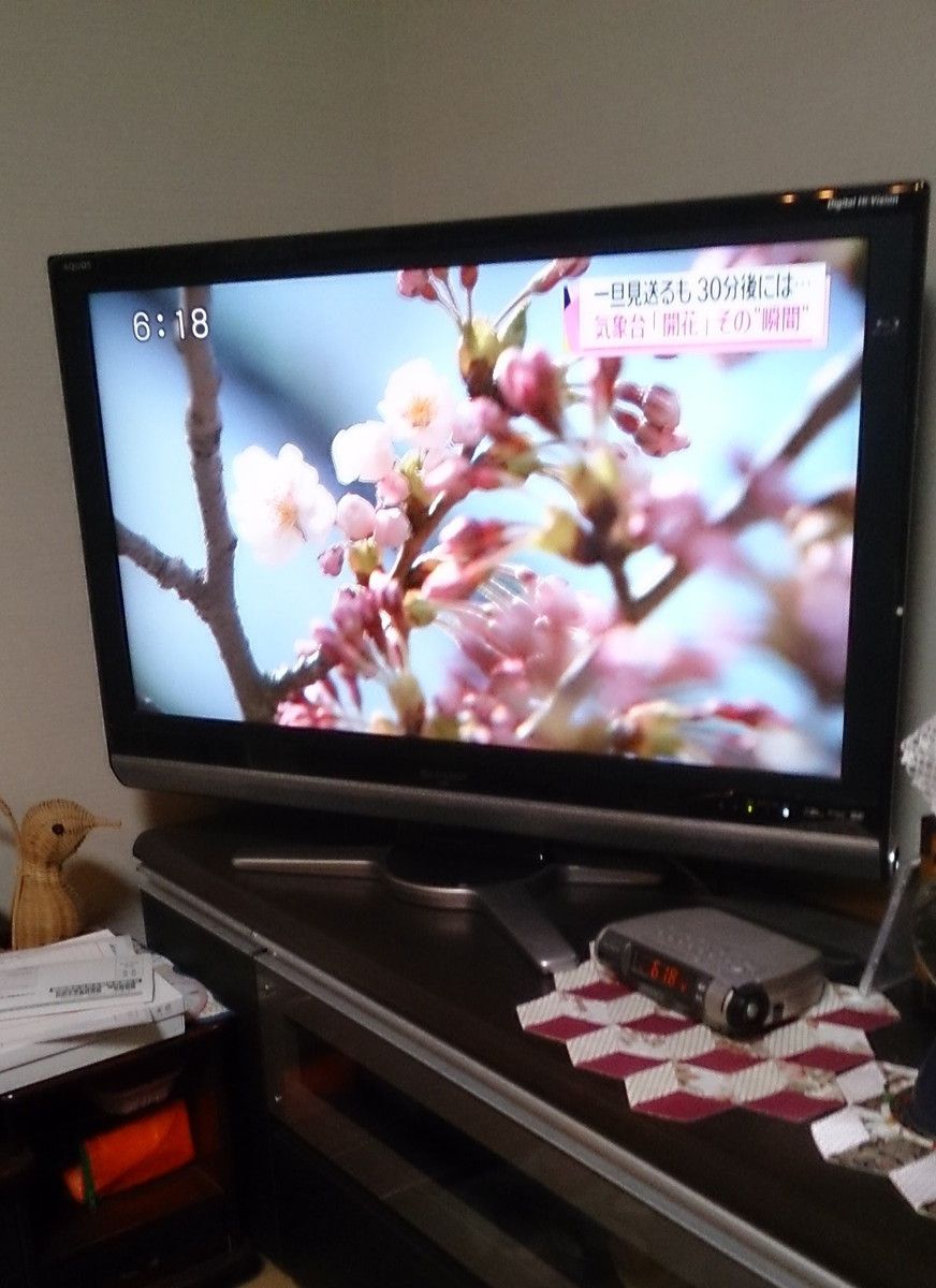 20160422_02.jpg