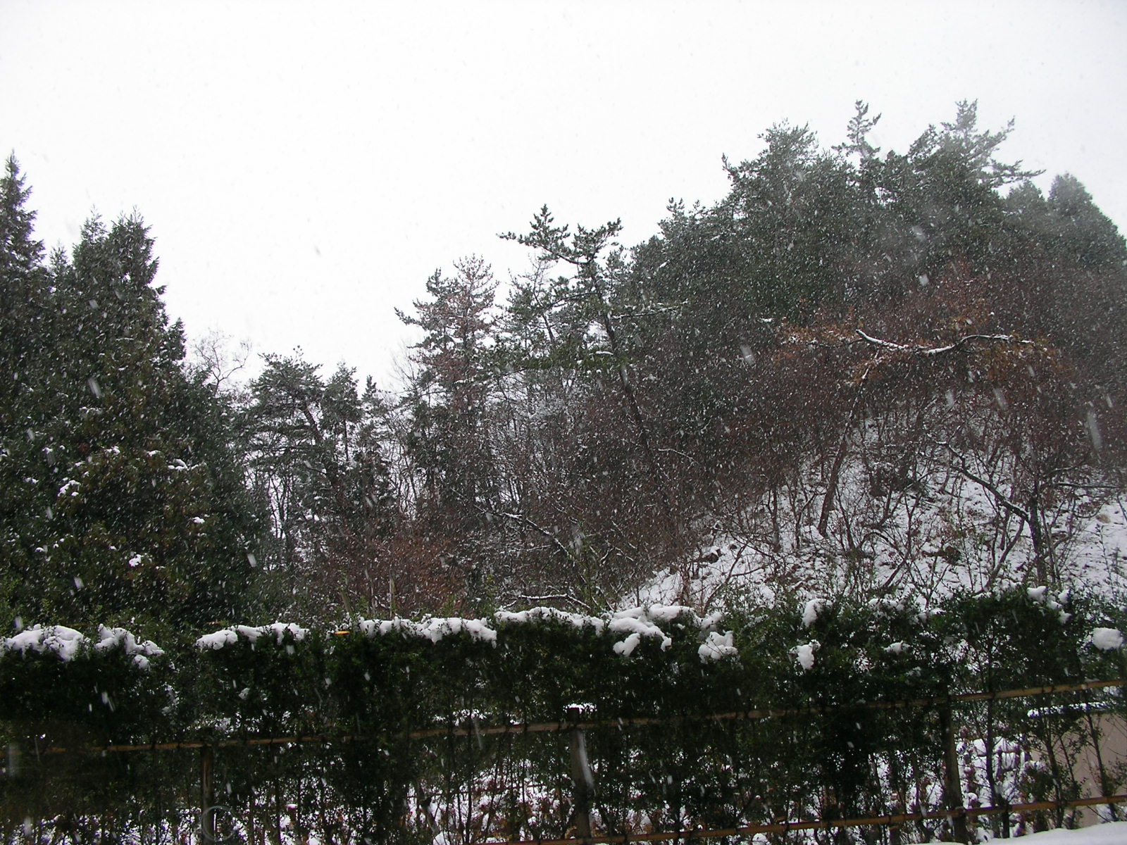 20141222_14.jpg