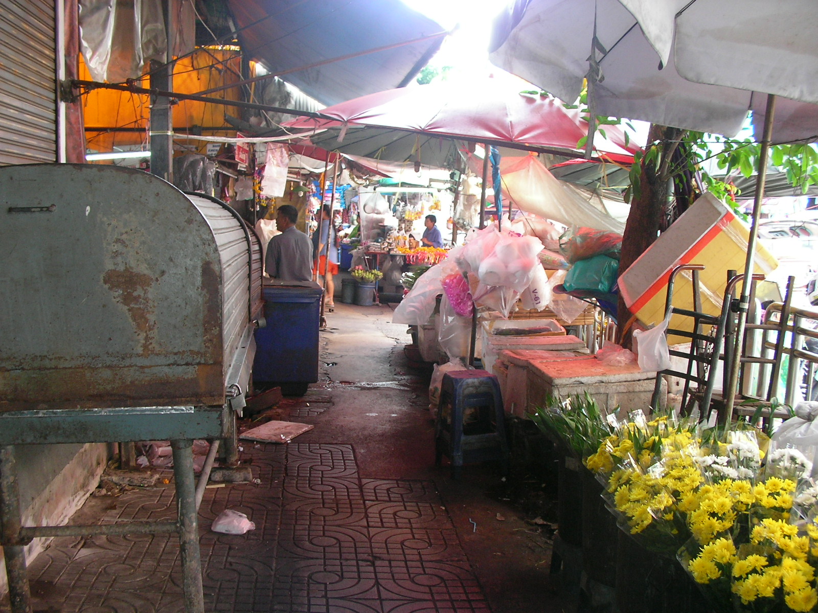 20140609_04.jpg