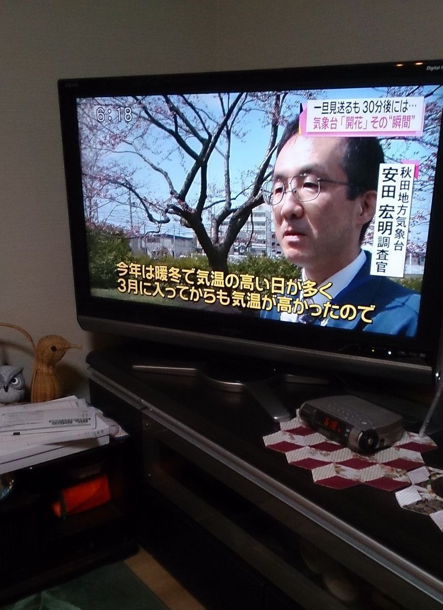 20160422_01.jpg