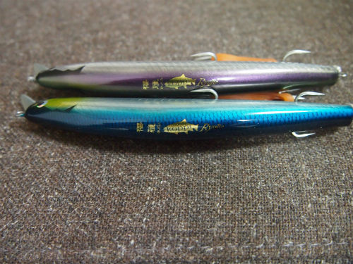 P9030010