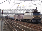DSC00726