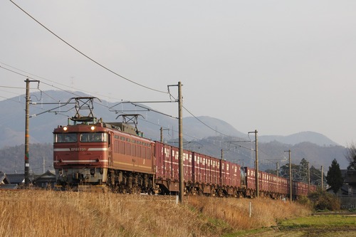 toyama6