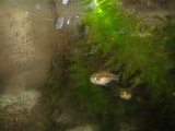 DSC00184
