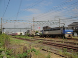 DSC00175