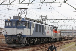 EF64¡¡À¾É;¾