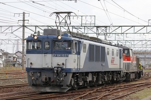 9863¥ì¡¡À¾É;¾