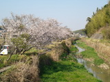 DSC00029