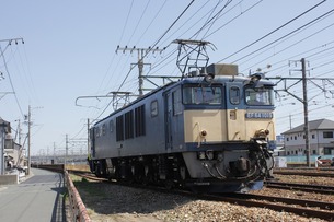 EF64¡¡À¾É;¾